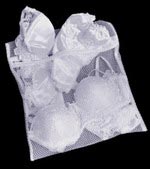 Fashion Forms Lingerie Bag
