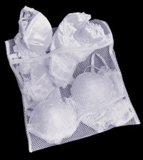 Lingerie Bag